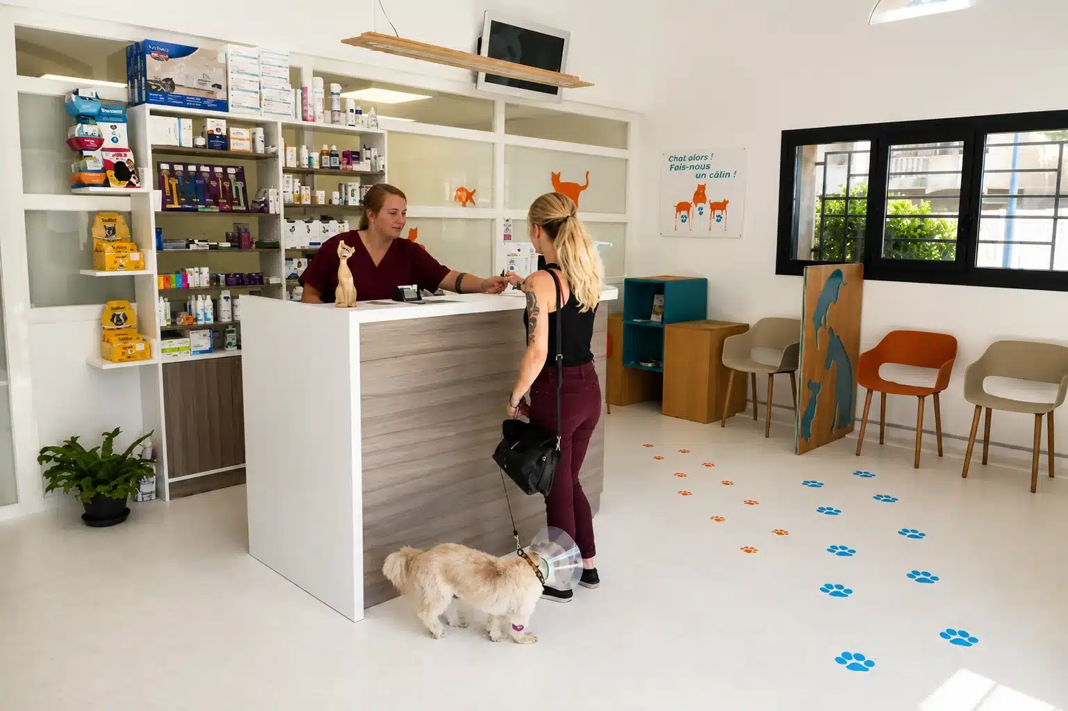 Accueil de la Clinique Vétérinaire de Maguelone à Villeneuve-lès-Maguelone