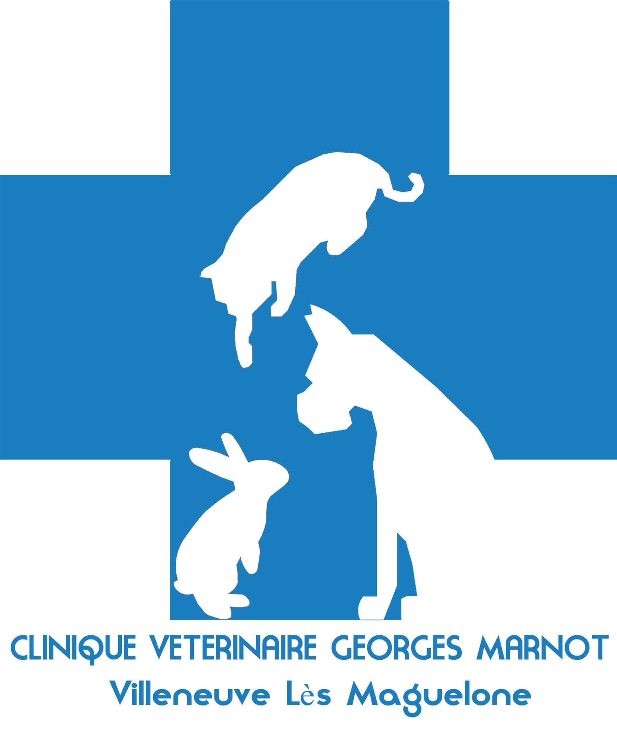 Clinique Vétérinaire Maguelone