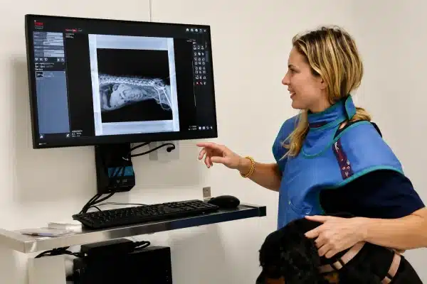 Le plateau technique, Clinique Vétérinaire de Maguelone