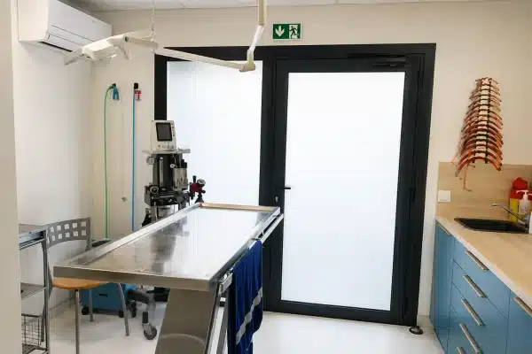La salle de préparation et le bloc opératoire, Clinique Vétérinaire de Maguelone